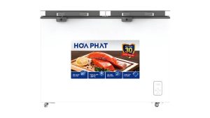 Tủ đông Hòa Phát-BD6245.T1