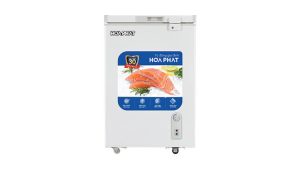 Tủ đông Hòa Phát-HPF AN6107