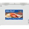 Tủ đông Hòa Phát-HPF-AN6352